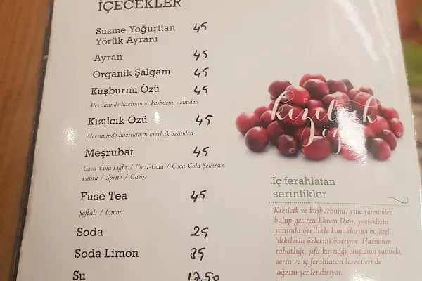 Ekrem Usta-Etin Ustası- Çayyolu Restaurant - Resim 10
