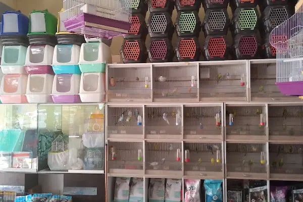 Ceyhun Petshop - Resim 19