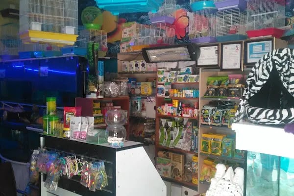 Ceyhun Petshop - Resim 7