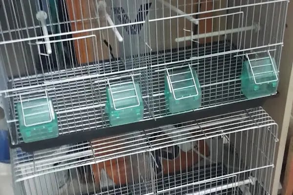 Ceyhun Petshop - Resim 8