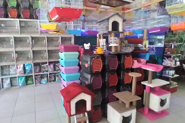 Ceyhun Petshop - Resim 5