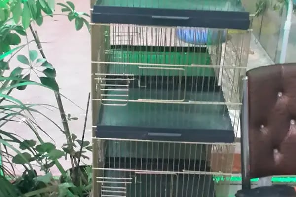 Ceyhun Petshop - Resim 6