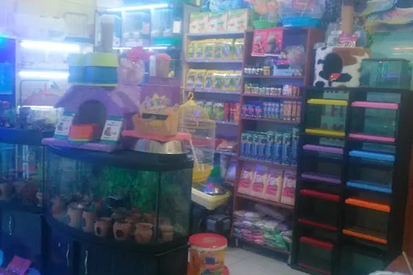 Ceyhun Petshop - Resim 10