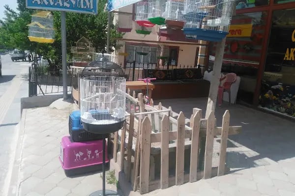 Ceyhun Petshop - Resim 1