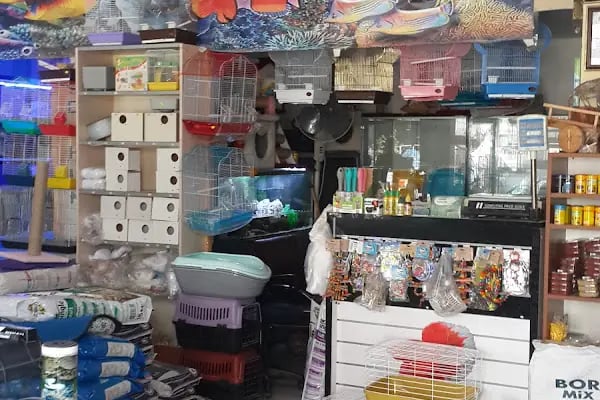 Ceyhun Petshop - Resim 15