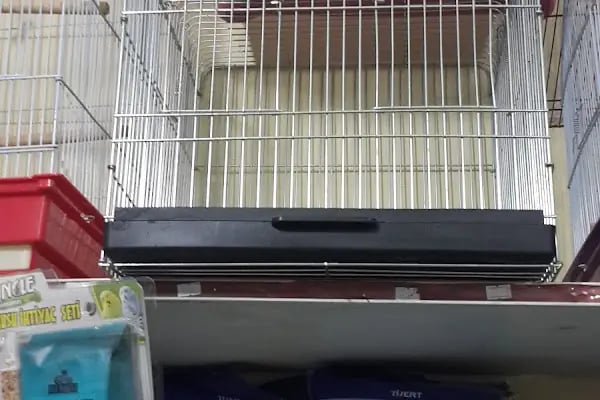 Ceyhun Petshop - Resim 16