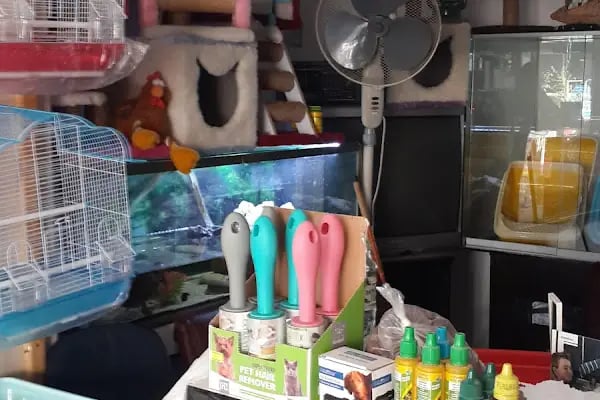Ceyhun Petshop - Resim 17