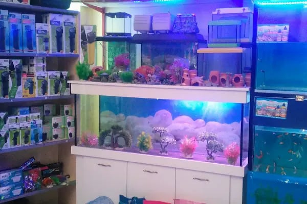 Ceyhun Petshop - Resim 2