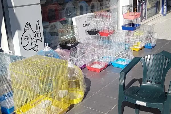 Doğan PetShop 1-Güllük - Resim 13