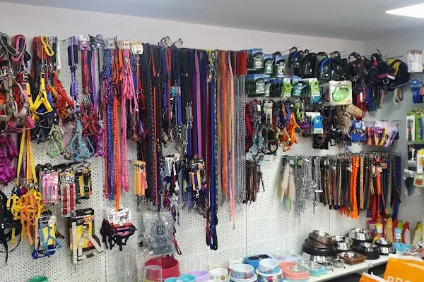 Doğan PetShop 1-Güllük - Resim 12