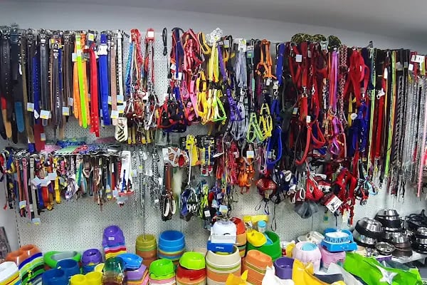 Doğan PetShop 1-Güllük - Resim 19