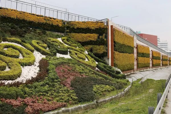 Aktaş Plant - Resim 10