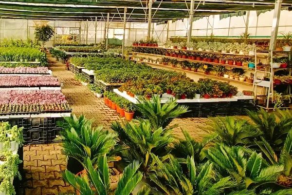 Aktaş Plant - Resim 2