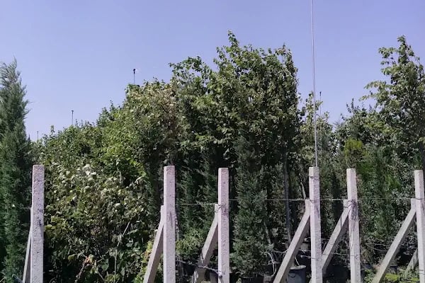 Aktaş Plant - Resim 7