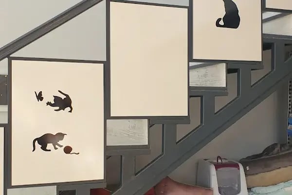 Orenda Veteriner Kliniği - Resim 7