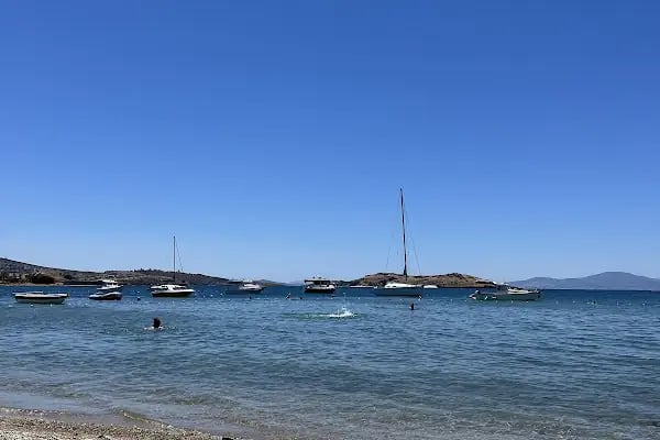 Monk Island - Resim 16
