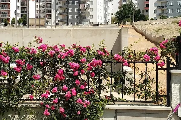 Akasya Konak Evleri - Resim 3
