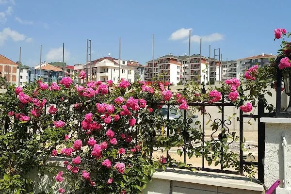 Akasya Konak Evleri - Resim 16