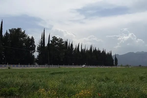 Yeniköy Mezarlığı - Resim 7