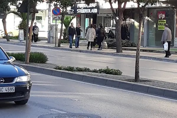 Zümrüt Fotoğraf Stüdyoları - Resim 8