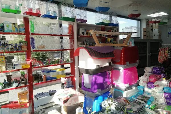 Tosbaa Petshop - Resim 7