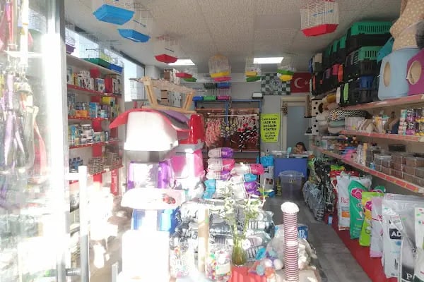 Tosbaa Petshop - Resim 5