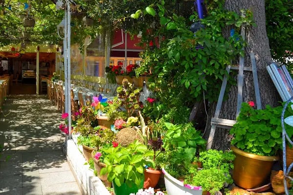 Başak Et Ve Balık Restaurant - Resim 7