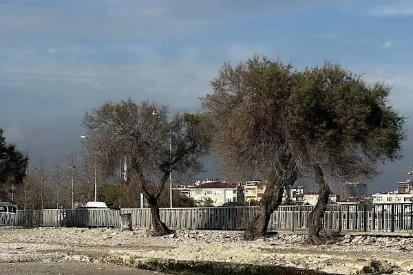 Tarihi haylayf plajı - Resim 2