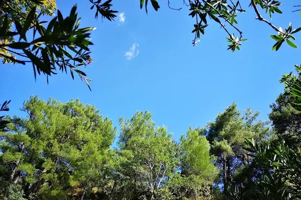 Pine Garden Camping&amp;Restaurant - Resim 19