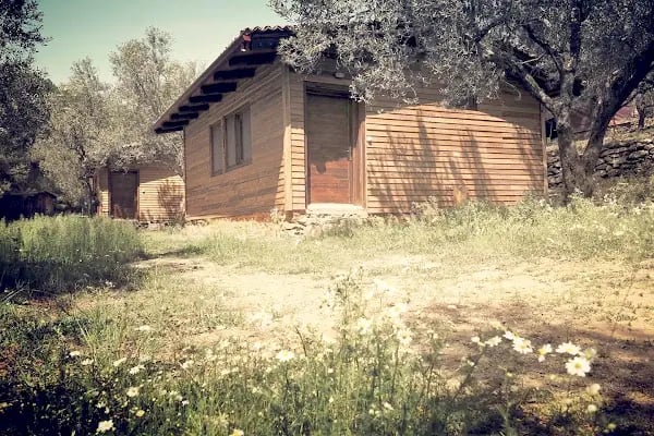 Pine Garden Camping&amp;Restaurant - Resim 5