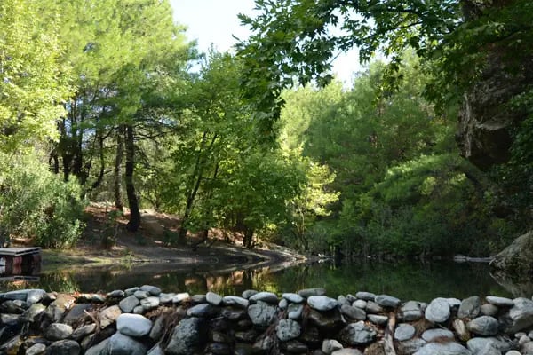 Pine Garden Camping&amp;Restaurant - Resim 7