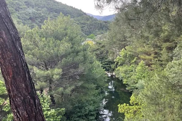 Pine Garden Camping&amp;Restaurant - Resim 15