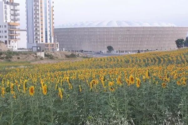 Adana Atatürk Stadyumu - Resim 15