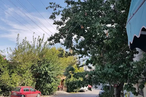 Markasya Ağız Ve Diş Sağlığı Polikliniği - Resim 17