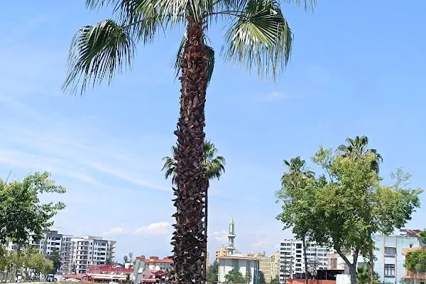 Yüreğir Otogarı - Resim 13