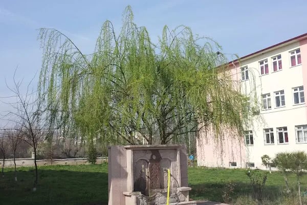 Albay Cafer Tayyar Nuran Oguz Anadolu Lisesi - Resim 4