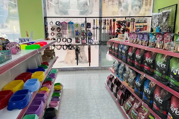 Klas Petshop 3 - Resim 2
