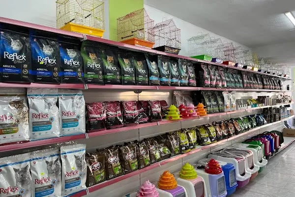 Klas Petshop 3 - Resim 5