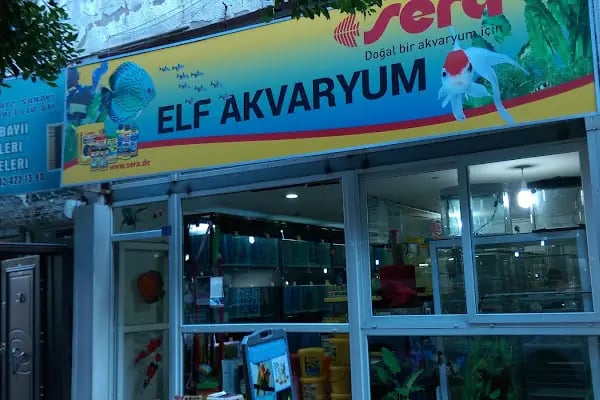 Elf Akvaryum Petshop - Resim 2
