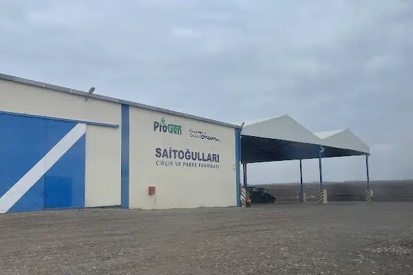Saitoğulları Çırçır Fabrikası - Resim 2