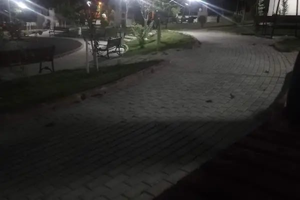 Altınekin Toki Parkı - Resim 4