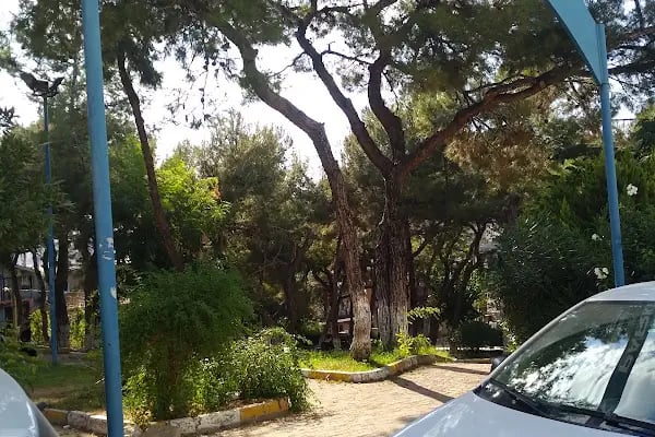 Çamlık Parkı - Resim 6