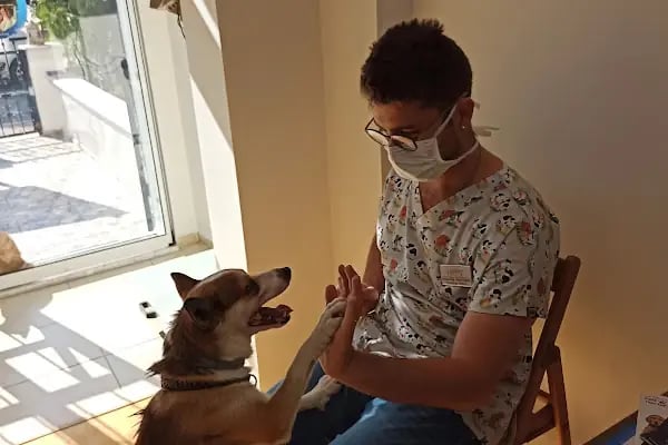 Hayat Veteriner Kliniği - Resim 16