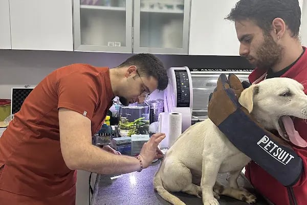 Hayat Veteriner Kliniği - Resim 17