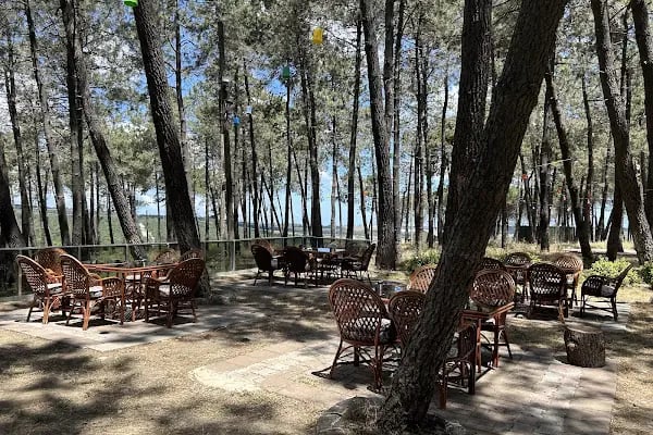 Kozalak Cafe Restaurant Tesisleri - Resim 4