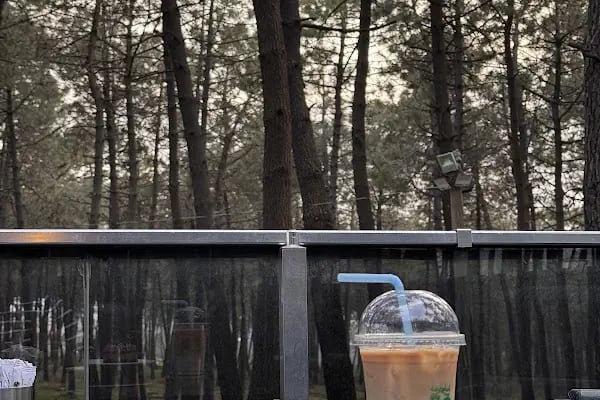 Kozalak Cafe Restaurant Tesisleri - Resim 5