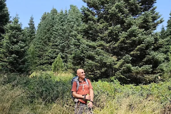 Uludağ Milli Parkı - Resim 6