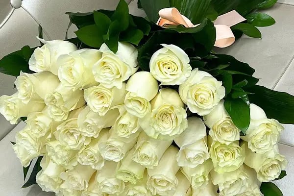 Fenix Flower / Yalikavak Florist / Yalikavak Çiçek - Resim 15