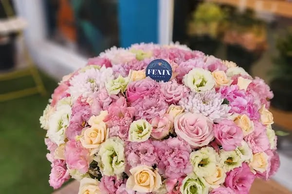 Fenix Flower / Yalikavak Florist / Yalikavak Çiçek - Resim 12