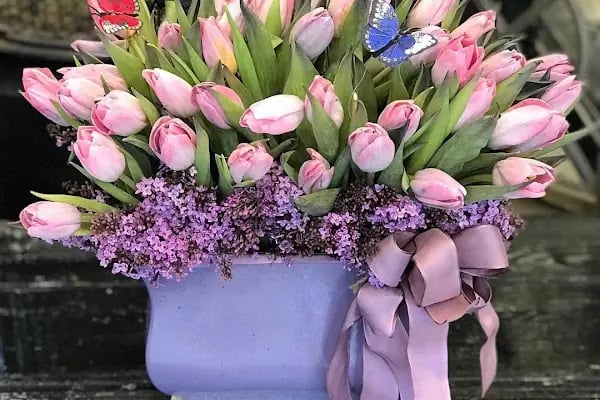 Fenix Flower / Yalikavak Florist / Yalikavak Çiçek - Resim 16
